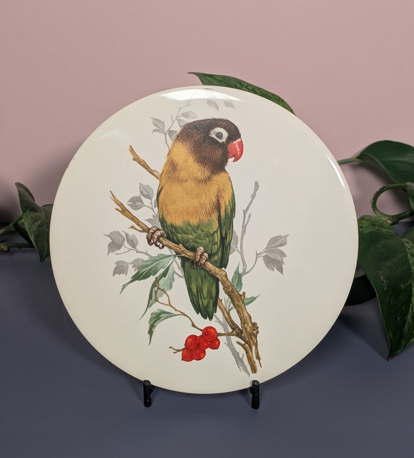 Parrot trivet