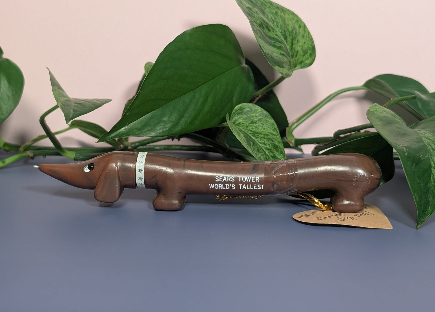 Wiener dog pen