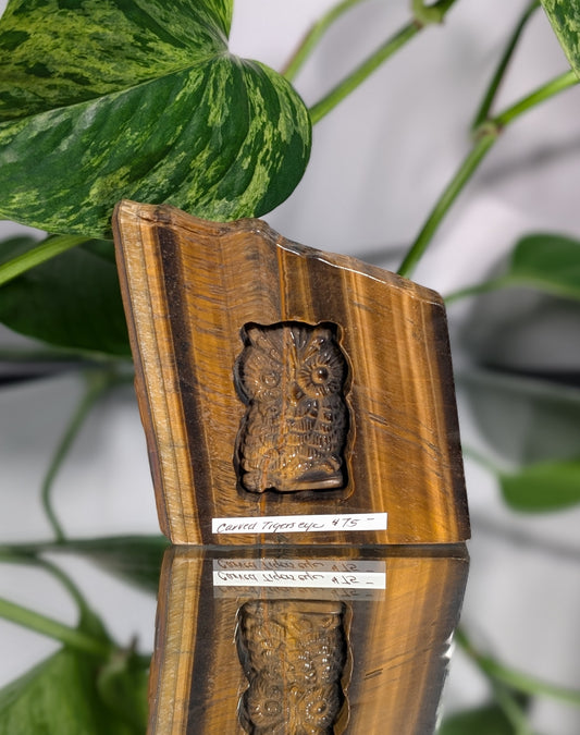 Carved Tigers Eye Owl