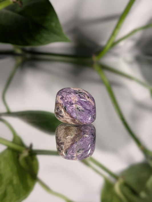 Charoite