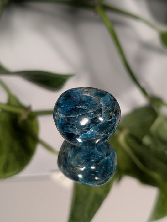 Blue Apatite