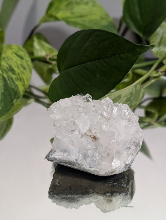Zeolite mineral