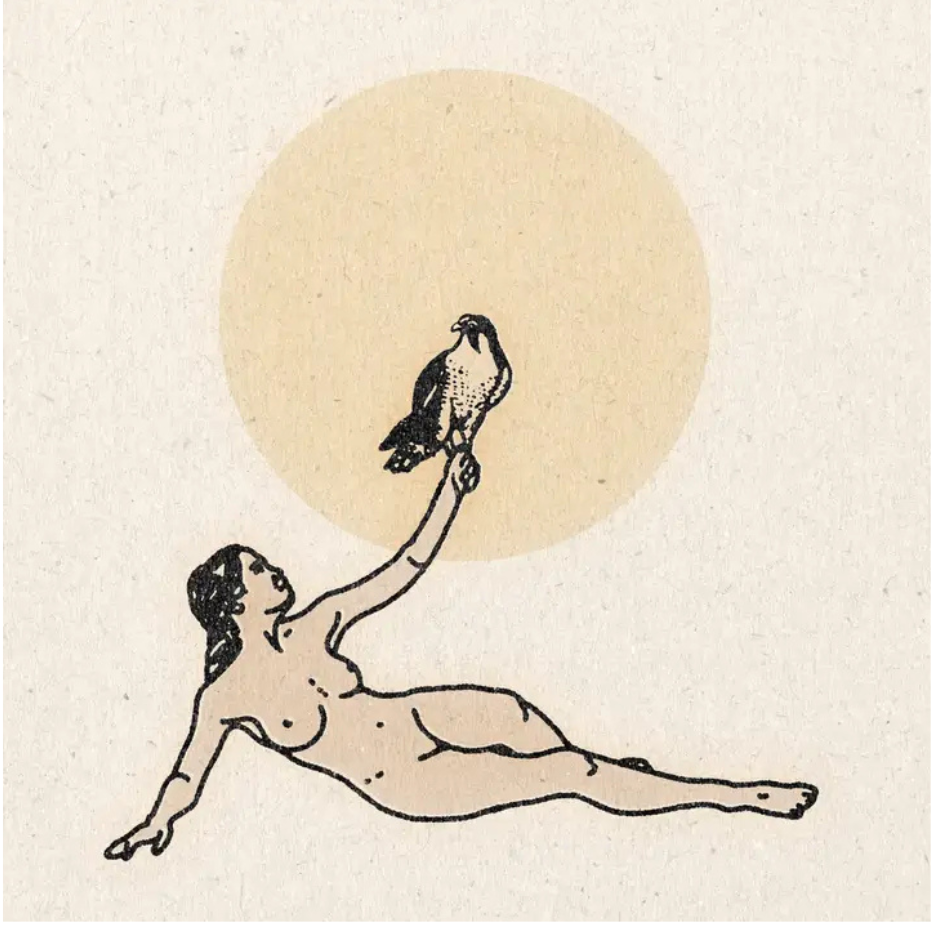 Bird Pet print