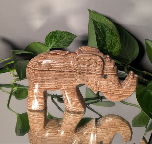 Elephant Aragonite Carving