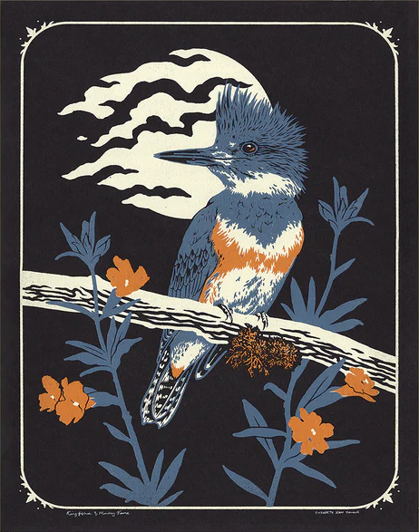 Kingfisher Print by Mustard Beetle