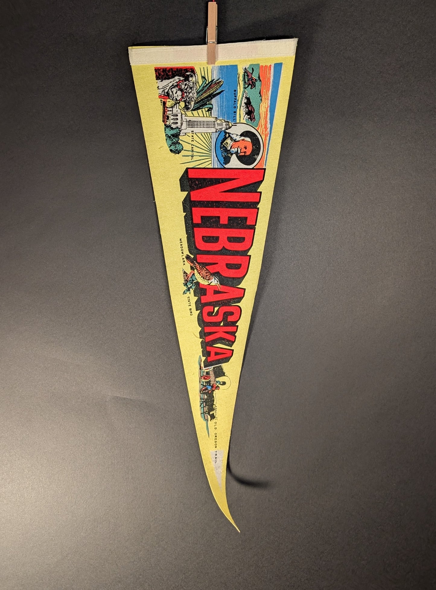 Nebraska souvenir pennant