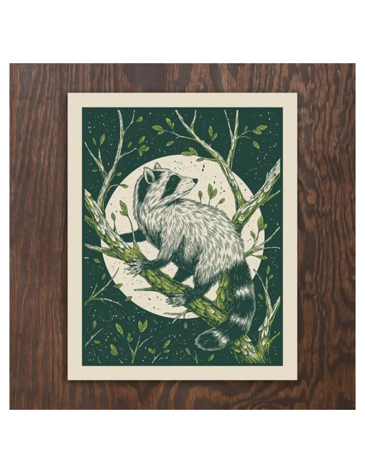 Raccoon Print