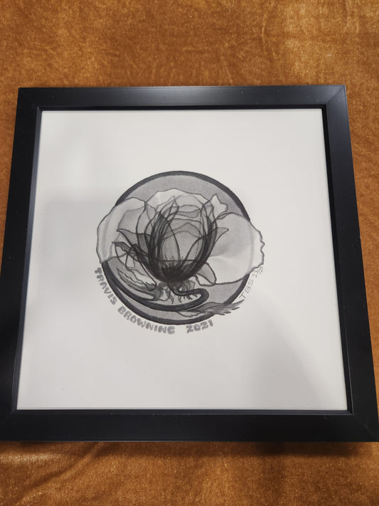 (Copy) Framed small xray rose