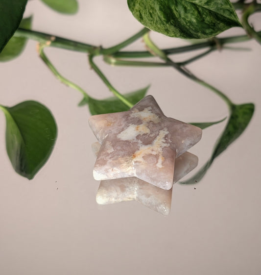 Flower Agate Star