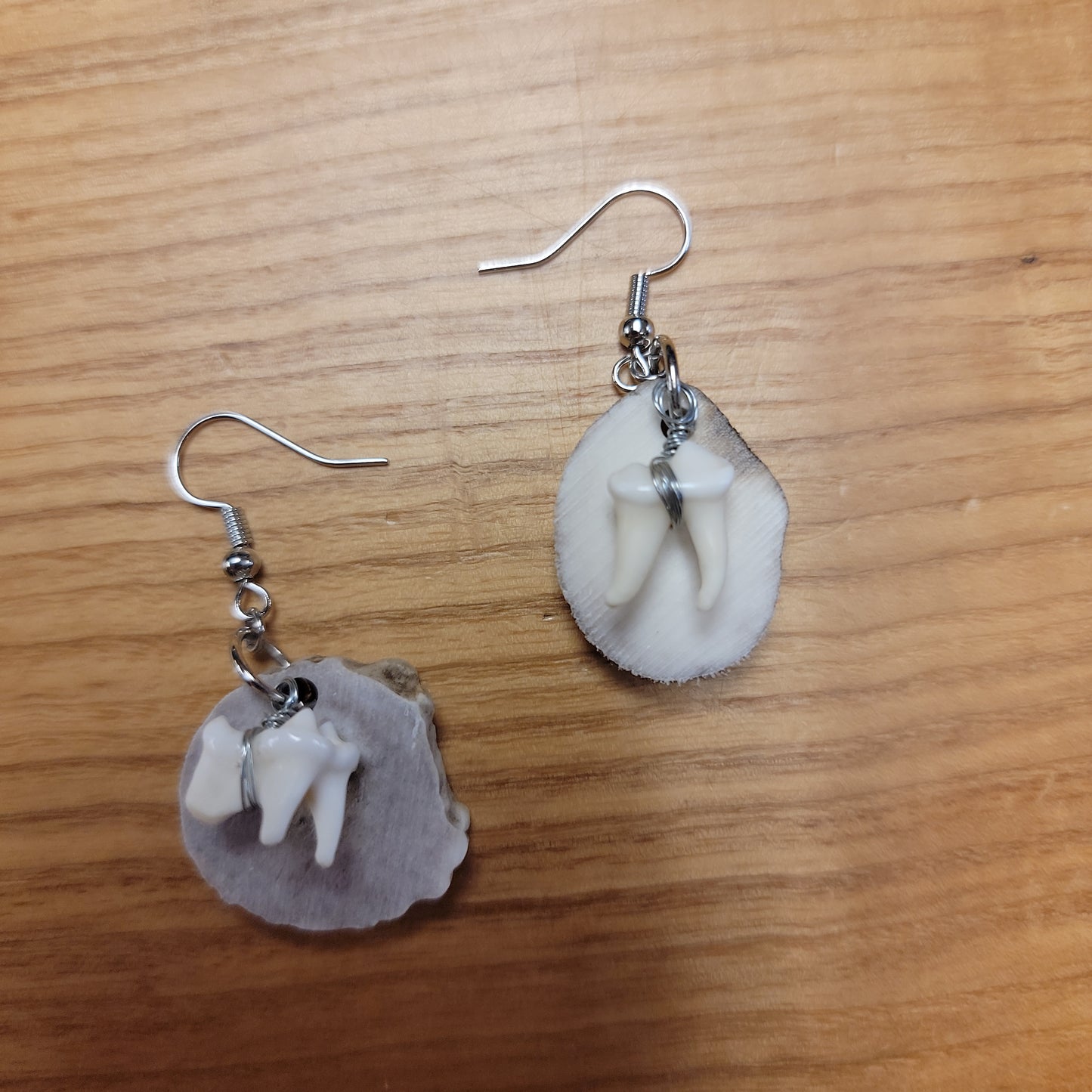 Deer Antler & Raccoon Molar Earrings