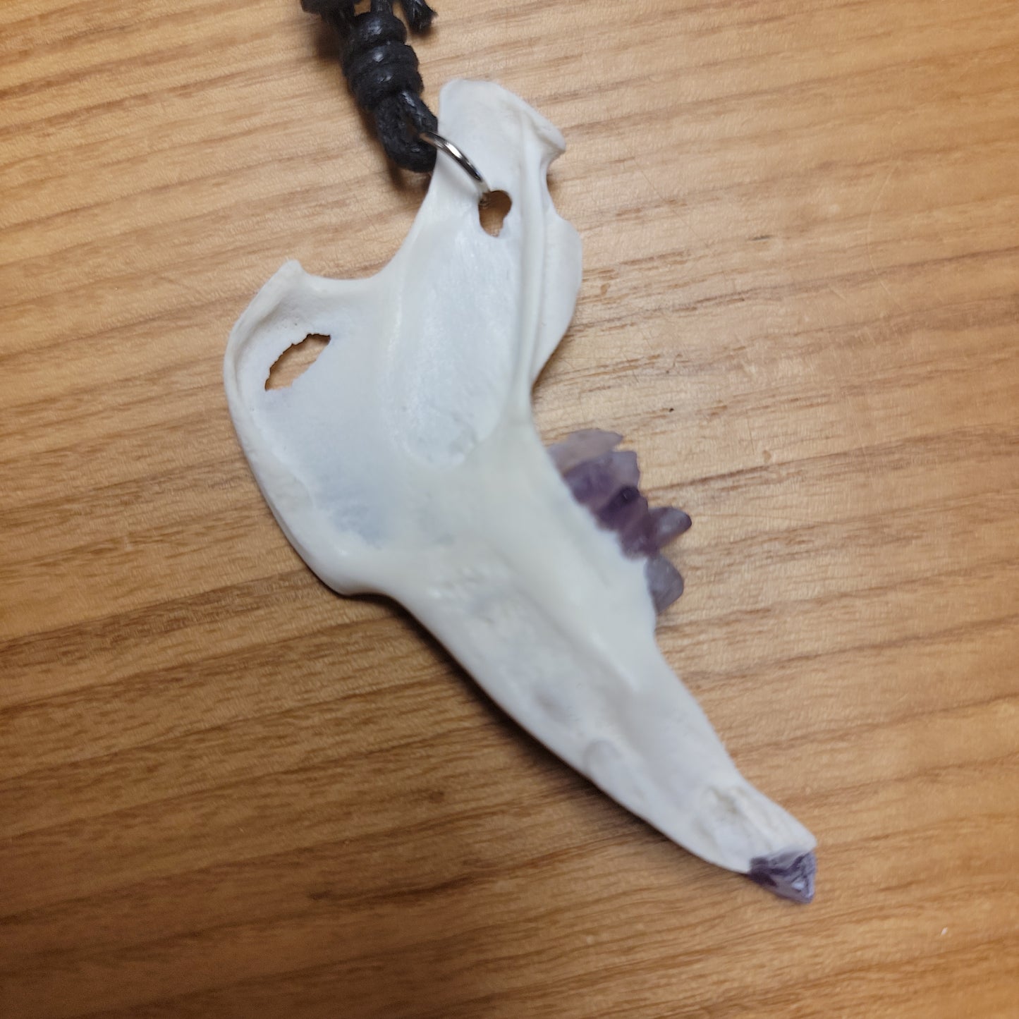 Rabbit Jawbone Necklace