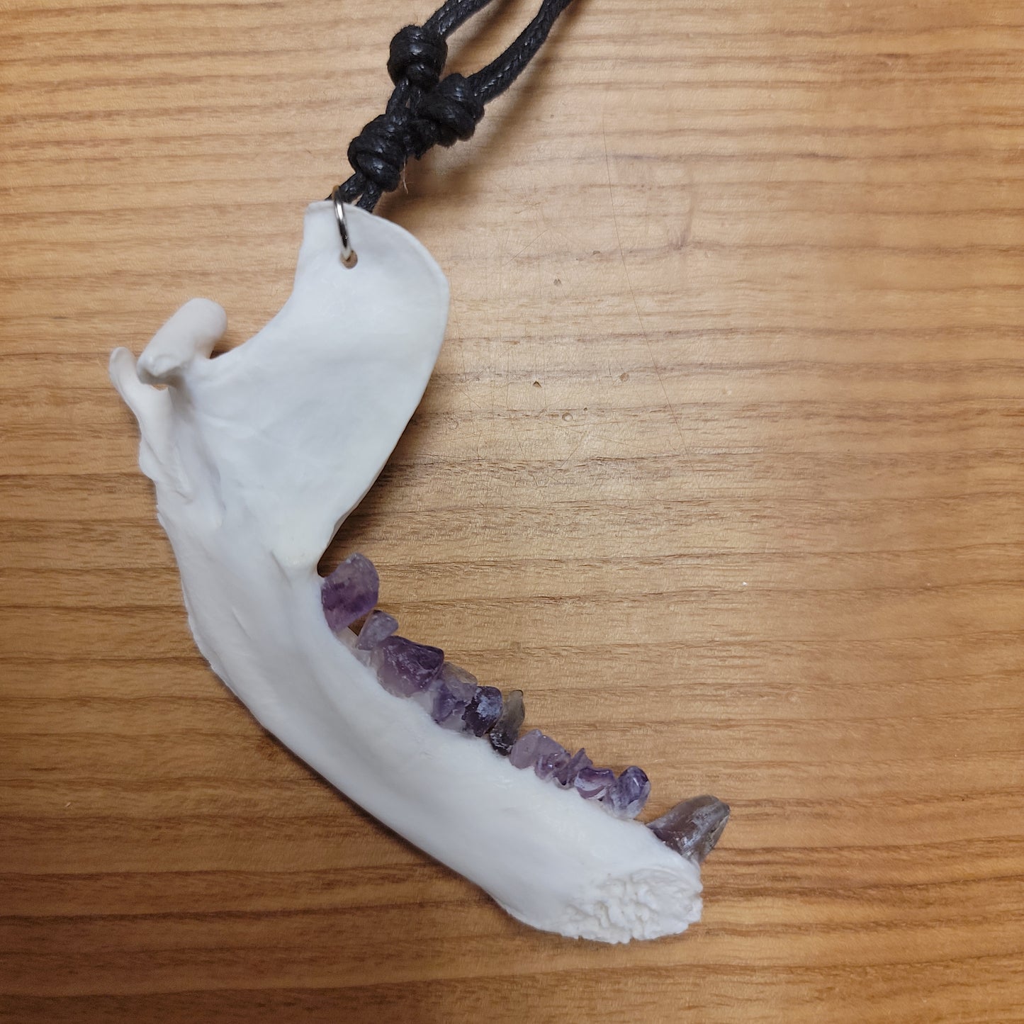 Raccoon Jawbone Necklace (amethyst teeth)