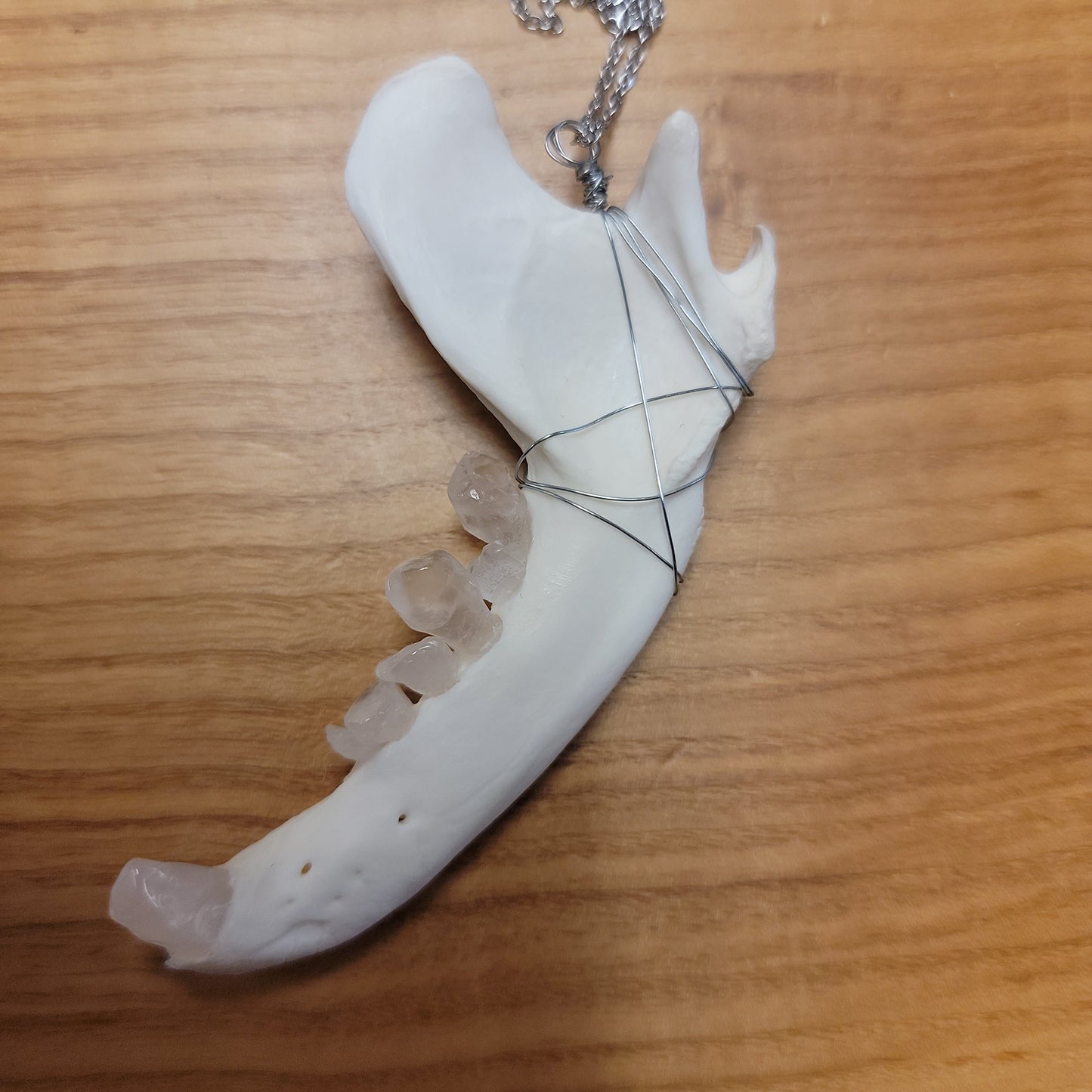 Copy of Raccoon Jawbone Necklace (quartz teeth)