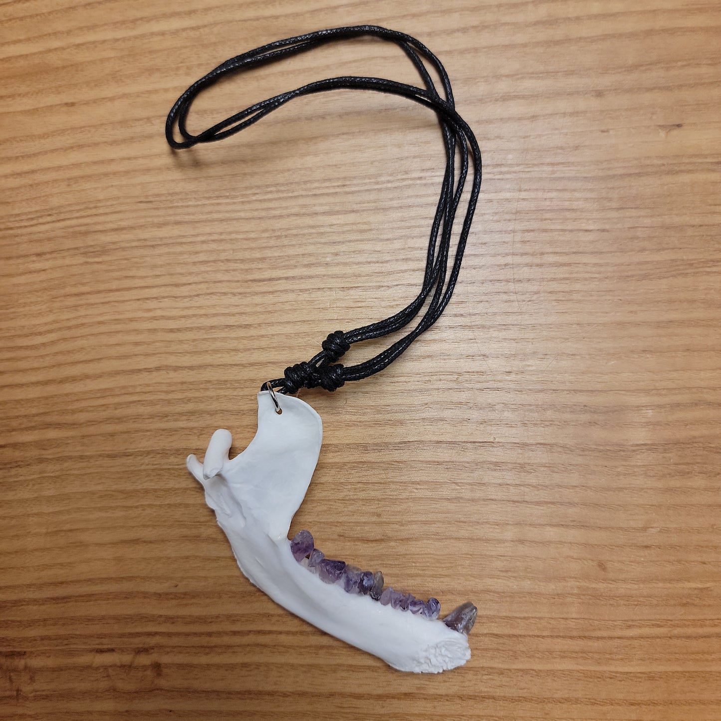 Raccoon Jawbone Necklace (amethyst teeth)